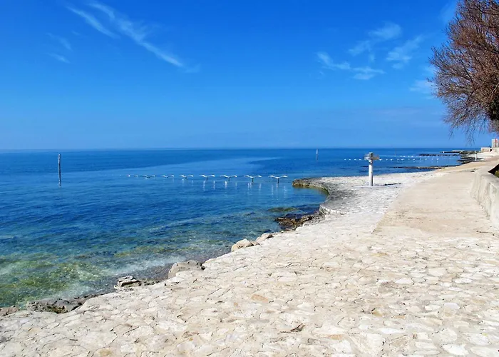 Lucas By Interhome Tatil Evi Novigrad Istria